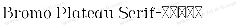 Bromo Plateau Serif字体转换